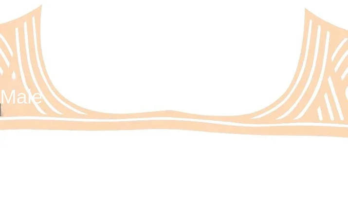 MOYISU Is A Hot Seller of The Same Mini Bra with Small Breasts, Big Back, Small Beauty Cup, Anti-sagging and Slimming Bra